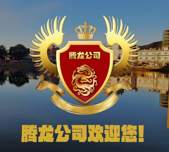 会员计划
